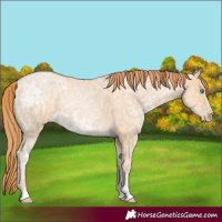 Horse Color:Smoky Black Ice Pearl 