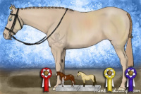 Horse Color:Smoky Creme Sabino 