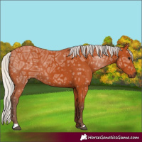 Horse Color:Silver Bay Ice