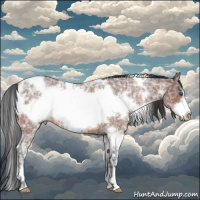 Horse Color:White Spotted Bay Ice Roan Frame 