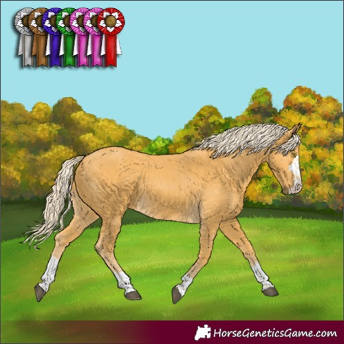 Horse Color:Palomino 