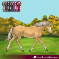 Horse Color:Palomino 