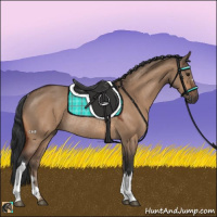 Horse Color:Brown Dun Rabicano 
