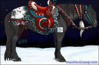 Horse Color:Liver Chestnut Sabino Appaloosa 