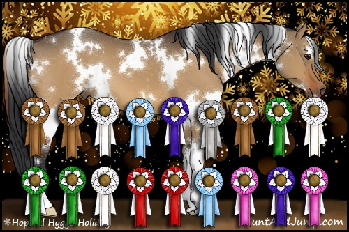 Horse Color:White Spotted Bay Dun 