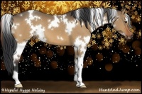 Horse Color:White Spotted Bay Dun