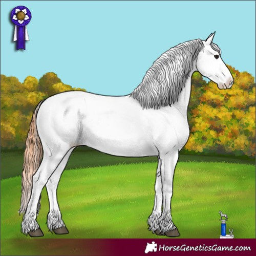 Horse Color:Bay Dun Tobiano Blanket