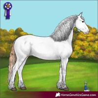 Horse Color:Bay Dun Tobiano Blanket 