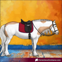 Horse Color:Silver Bay Dun Splash Frame 