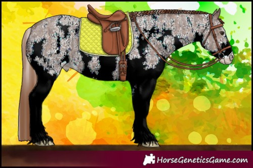 Horse Color:Chestnut Ice Sabino 