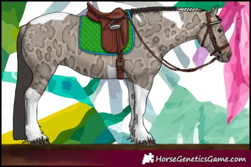 Horse Color:Bay Ice Dun Tobiano 