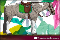 Horse Color:Bay Ice Dun Tobiano 