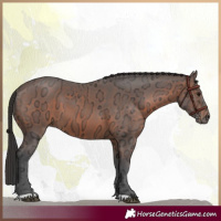 Horse Color:Brown Ice 