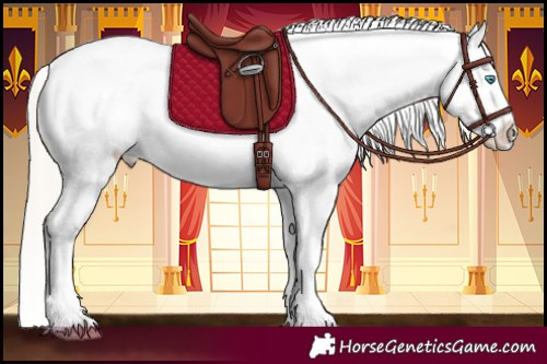 Horse Color:Chocolate Palomino Pearl Leopard 