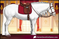 Horse Color:Chocolate Palomino Pearl Leopard 