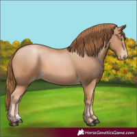 Horse Color:Chestnut Pearl 