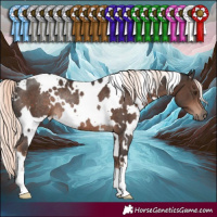Horse Color:White Spotted Liver Chestnut Mushroom Rabicano 