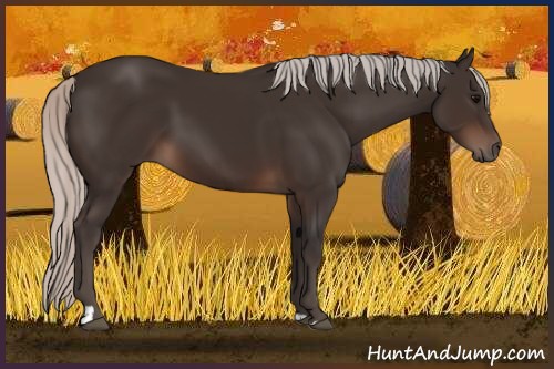 Horse Color:Silver Brown Sabino Tobiano 