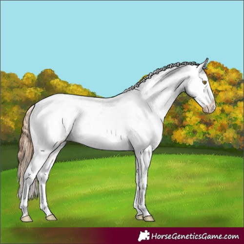 Horse Color:White Spotted Chestnut Pearl Varnish