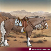 Horse Color:Silver Black 