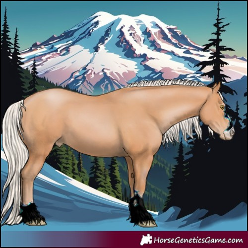 Horse Color:Silver Bay Pearl 