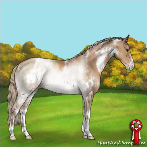 Horse Color:White Spotted Liver Chestnut Pearl Sabino 