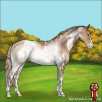 Horse Color:White Spotted Liver Chestnut Pearl Sabino 