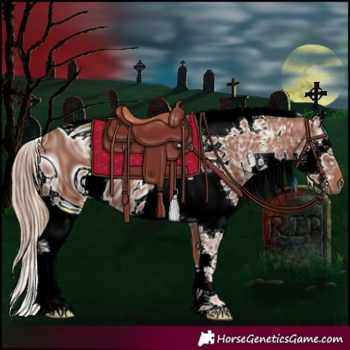 Horse Color:ERROR: UNKNOWN ANOMALY