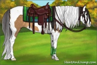 Horse Color:Buckskin Dun Splash Tobiano