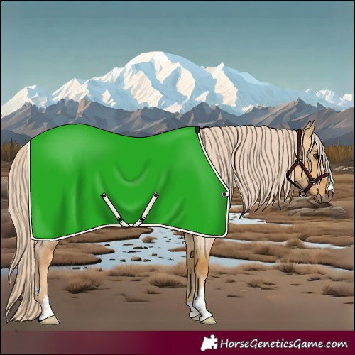 Horse Color:Palomino Roan Dun 