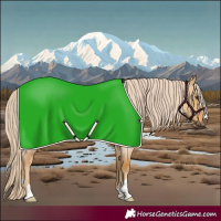 Horse Color:Palomino Roan Dun 