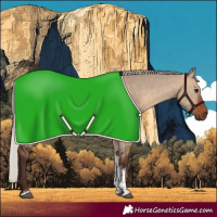Horse Color:Silver Brown Dun Tobiano 
