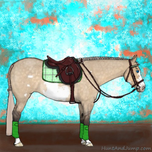 Horse Color:Silver Buckskin Roan Dun Frame Rabicano 