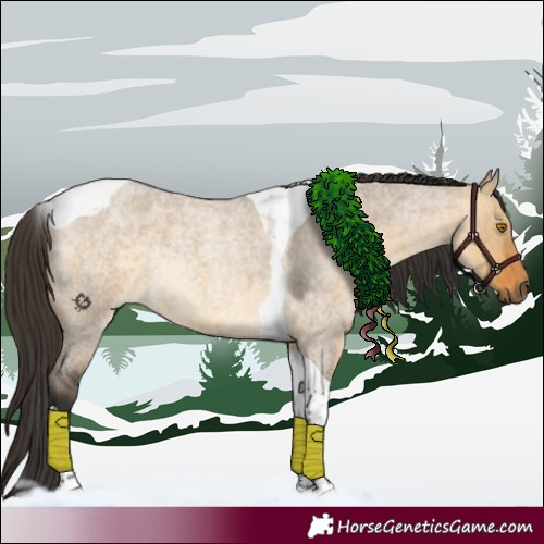 Horse Color:Buckskin Roan Dun Tobiano Rabicano 