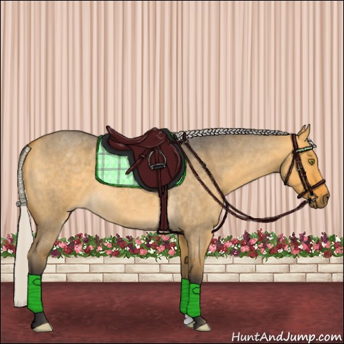 Horse Color:Silver Buckskin Roan Dun 