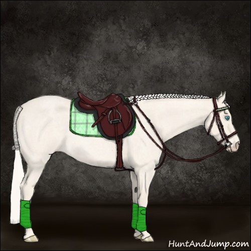 Horse Color:Cremello Roan 