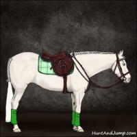 Horse Color:Cremello Roan