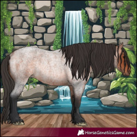 Horse Color:Bay Roan Rabicano 