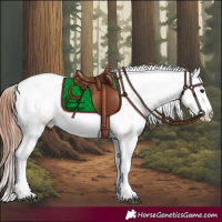 Horse Color:White Spotted Bay Dun Sabino Appaloosa 