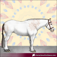 Horse Color:White Spotted Bay Roan