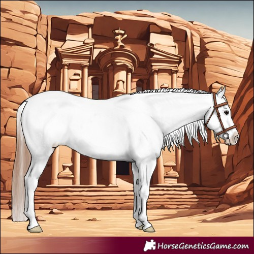 Horse Color:Bay Dun Splash Varnish
