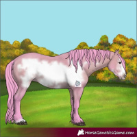 Horse Color:Watercolor Bay Frame 