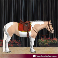 Horse Color:Silver Amber Champagne Tobiano