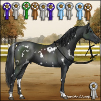 Horse Color:White Spotted Black 