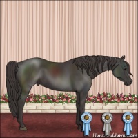 Horse Color:Smoky Black Sabino