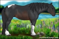 Horse Color:Brown Tobiano