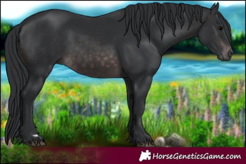 Horse Color:Platinum Brown 