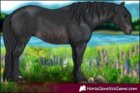Horse Color:Platinum Brown