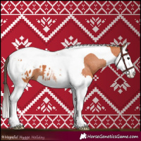 Horse Color:Bay Splash Tobiano Appaloosa 