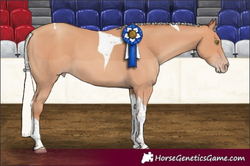 Horse Color:Silver Amber Champagne Sabino Tobiano 